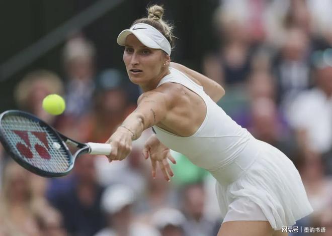 球员阵容在 球员阵容在