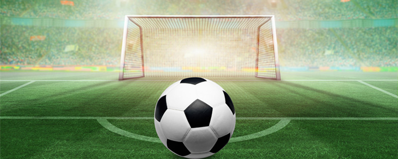 他的球员 他的球员