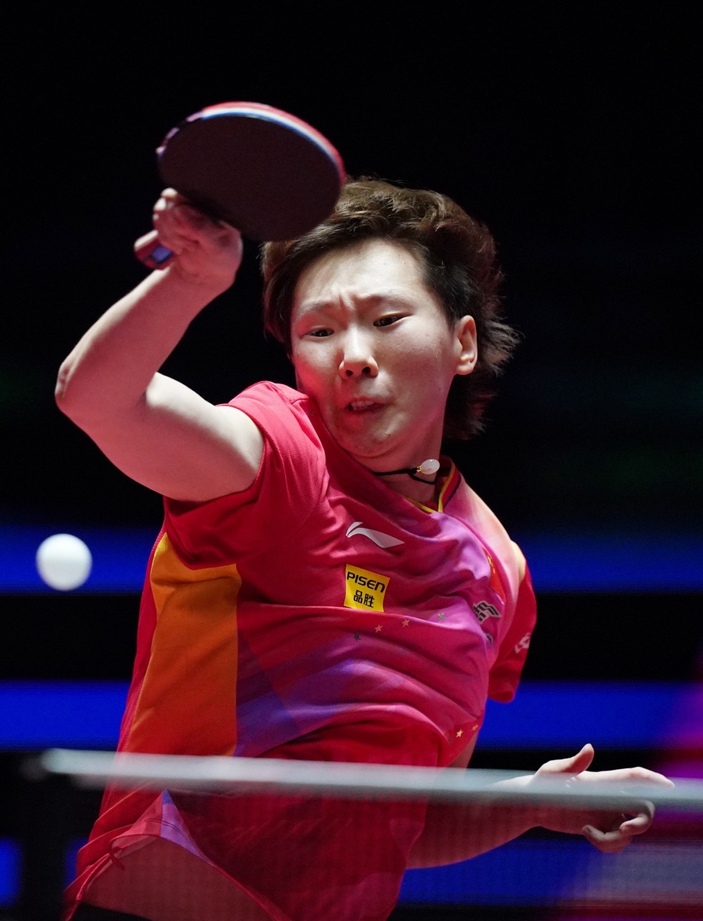 的专业主义 的专业主义