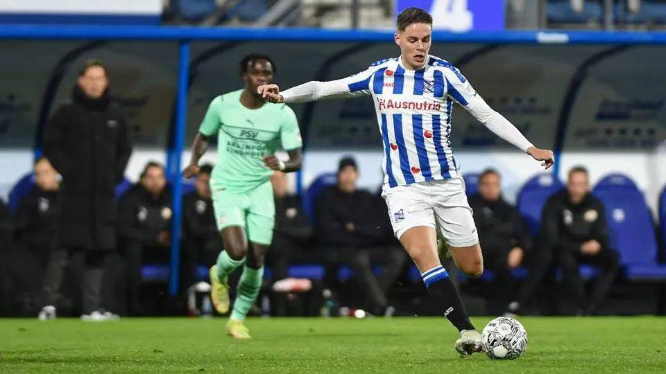 野区控制 野区控制